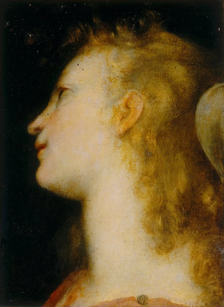 Testa di angelo - Palazzo Pitti, Firenze, Barocci Federico